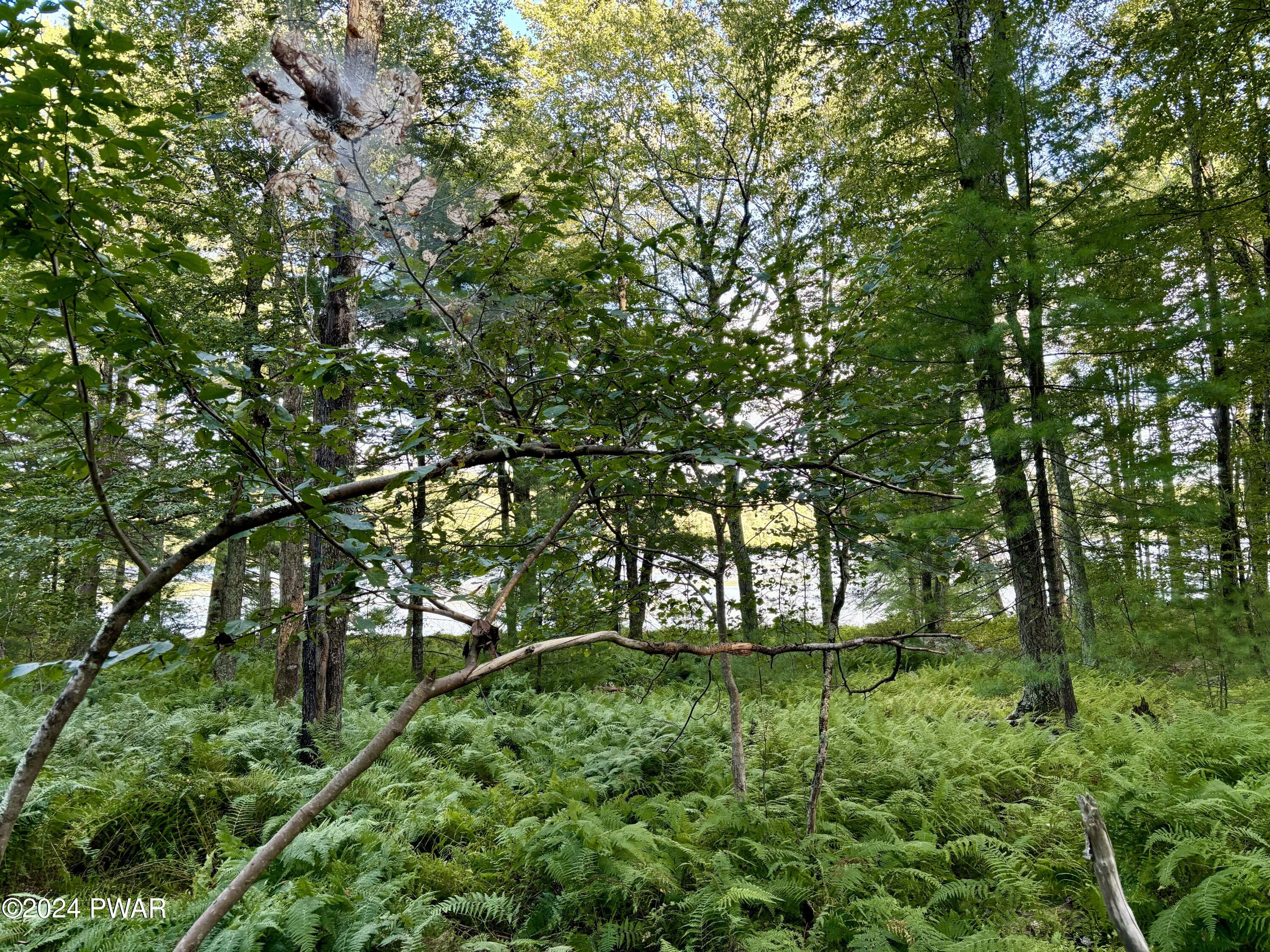 107 Kinsale Lane, Dingmans Ferry, Pennsylvania image 15