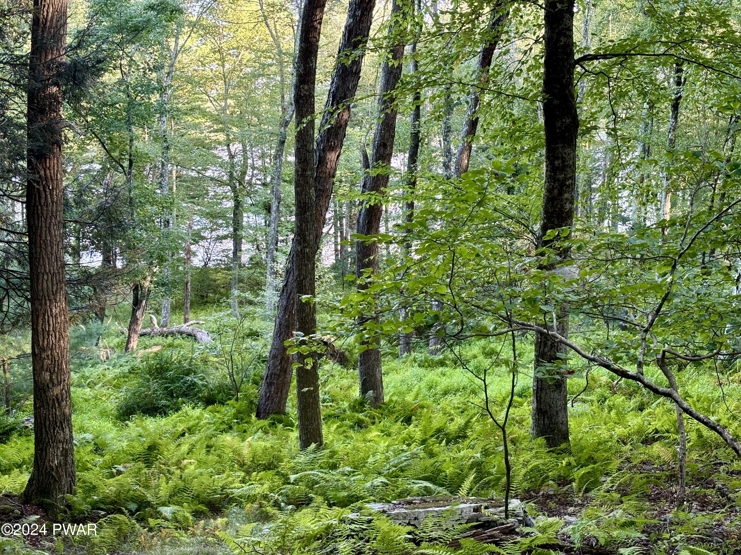 107 Kinsale Lane, Dingmans Ferry, Pennsylvania image 13