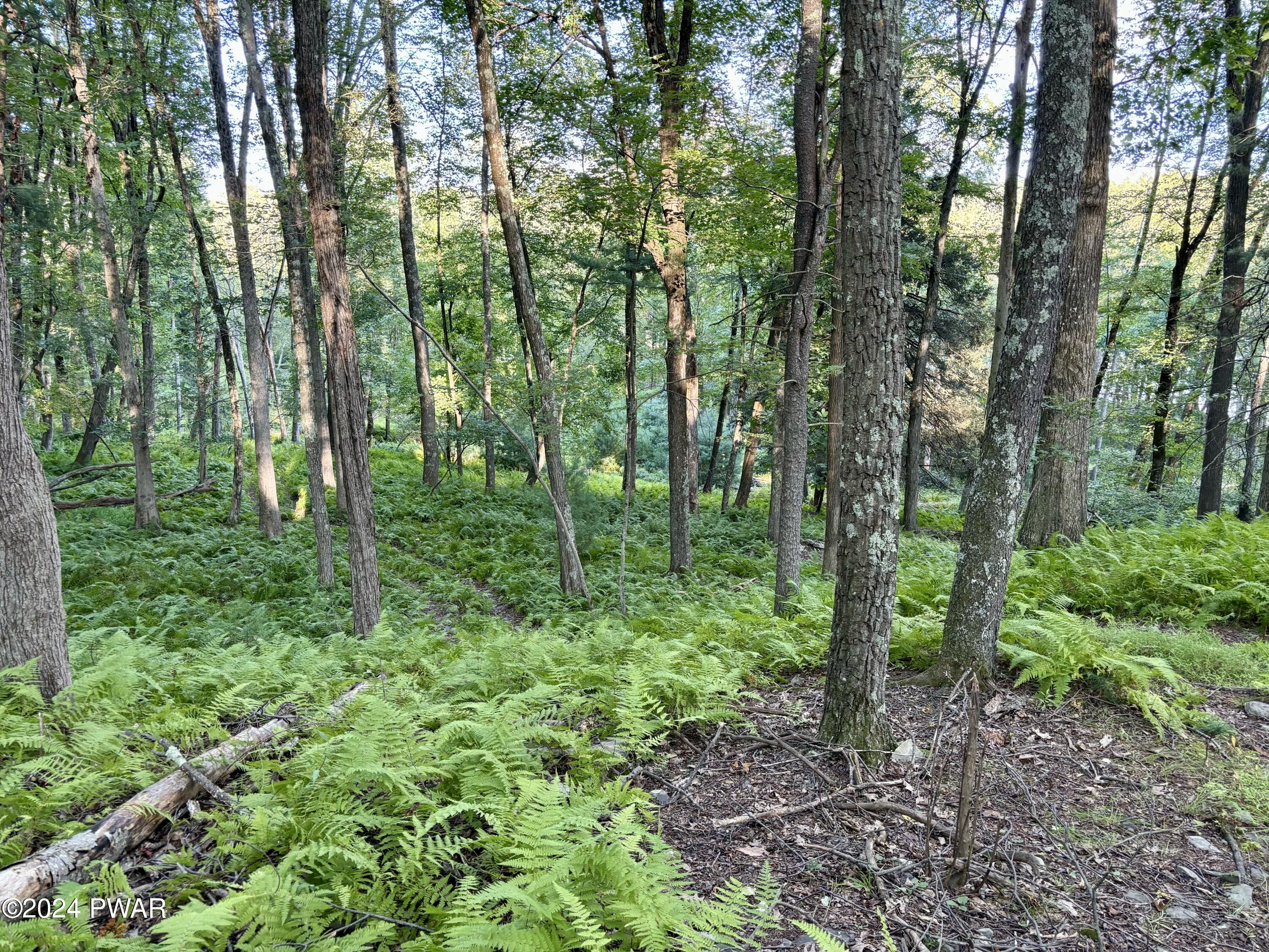107 Kinsale Lane, Dingmans Ferry, Pennsylvania image 10