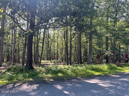 163 BUTTERNUT RD, MILFORD, PA 18337 - Image 03d7f4e2ce9fc33a61e64ec79169b507/3523010255