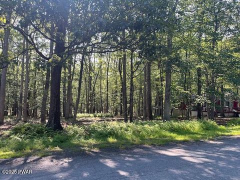 Vacant Land For Sale - 163 Butternut Road<br/> Milford, PA 18337