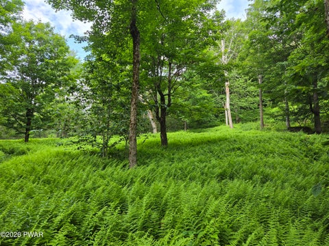 Vacant Land For Sale - 3033 Belmont Turnpike<br/> Union Dale, PA 18470