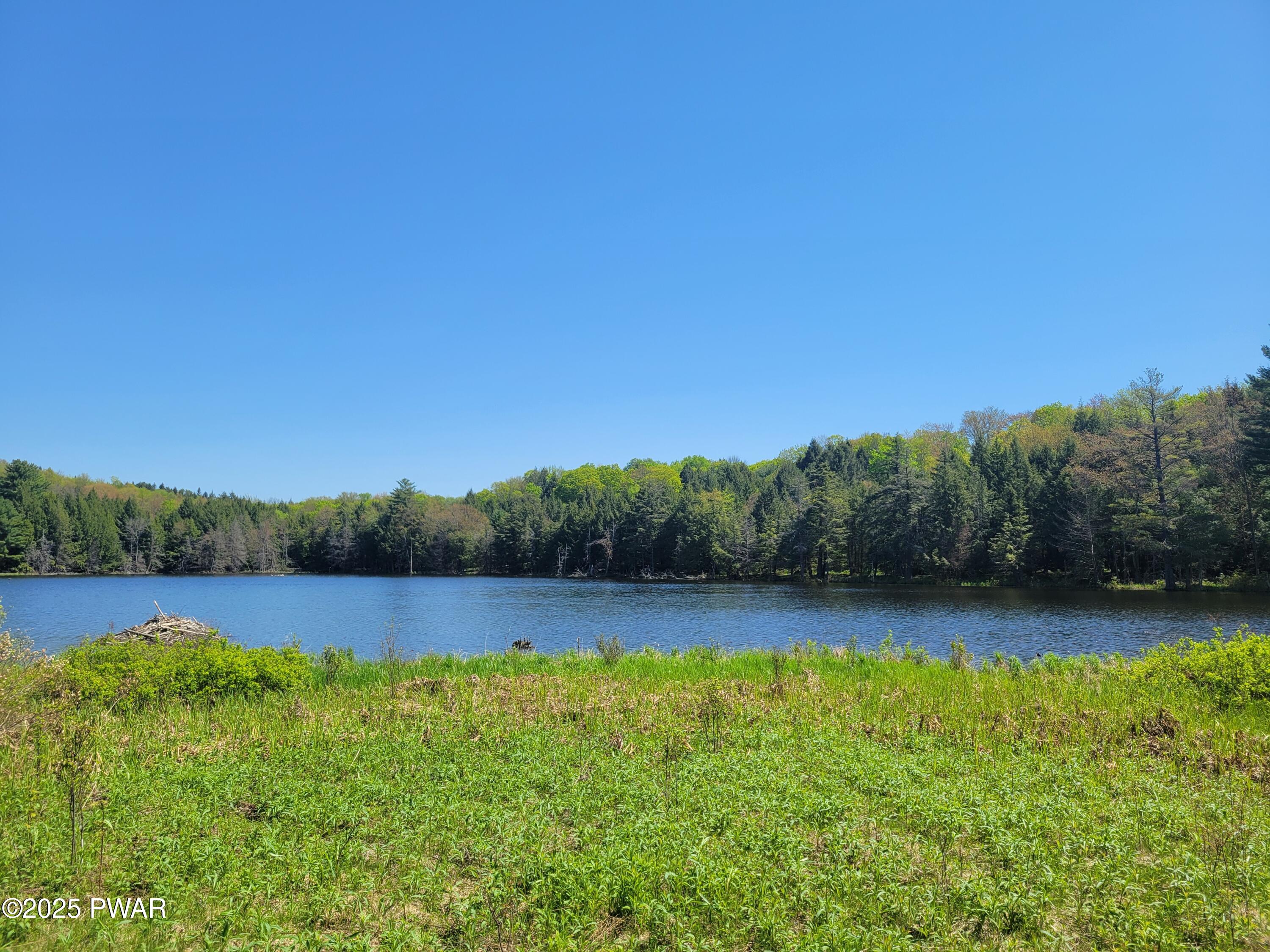 298 Maple Grove Road, Starrucca, Pennsylvania image 3