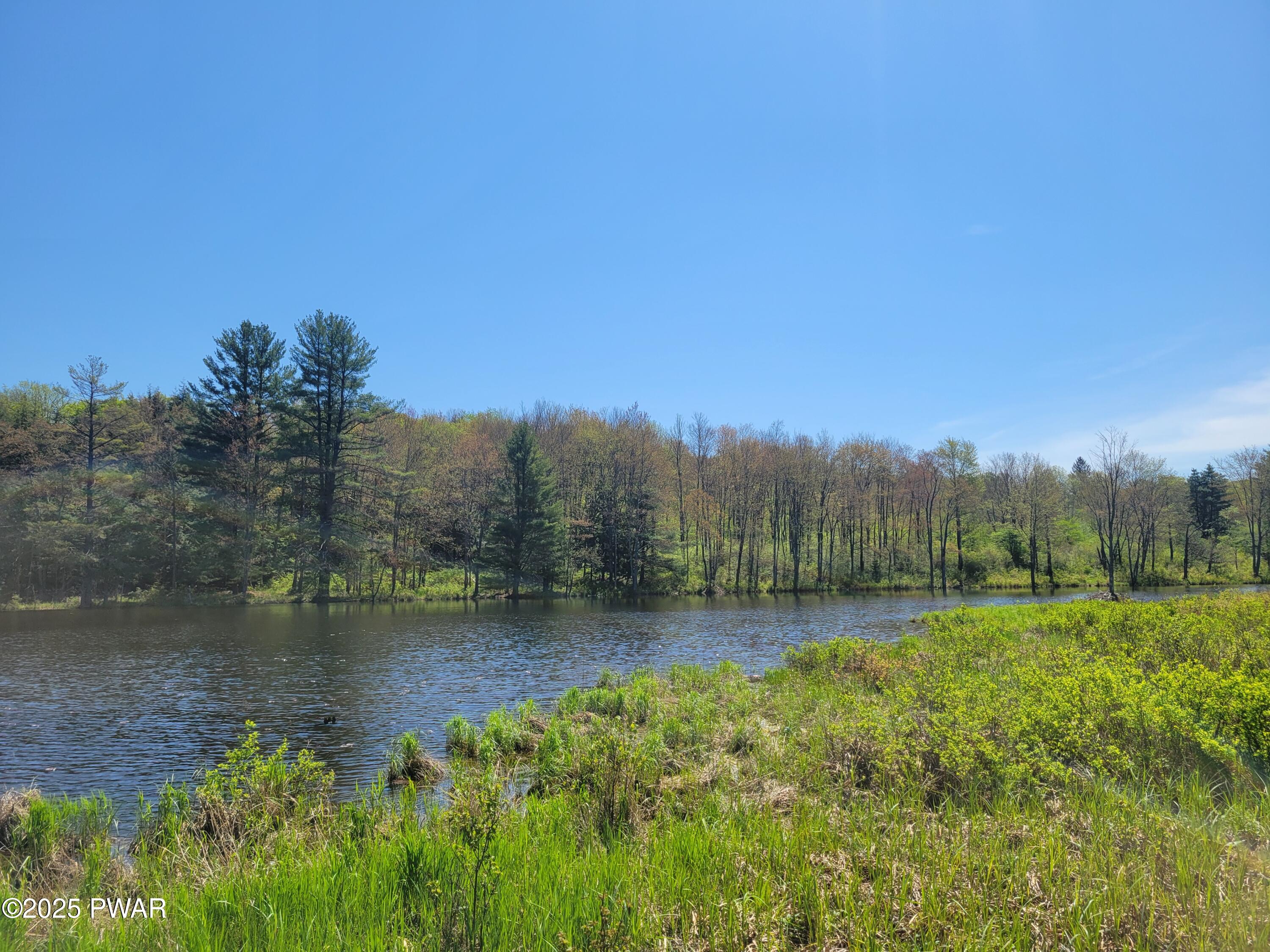 298 Maple Grove Road, Starrucca, Pennsylvania image 14