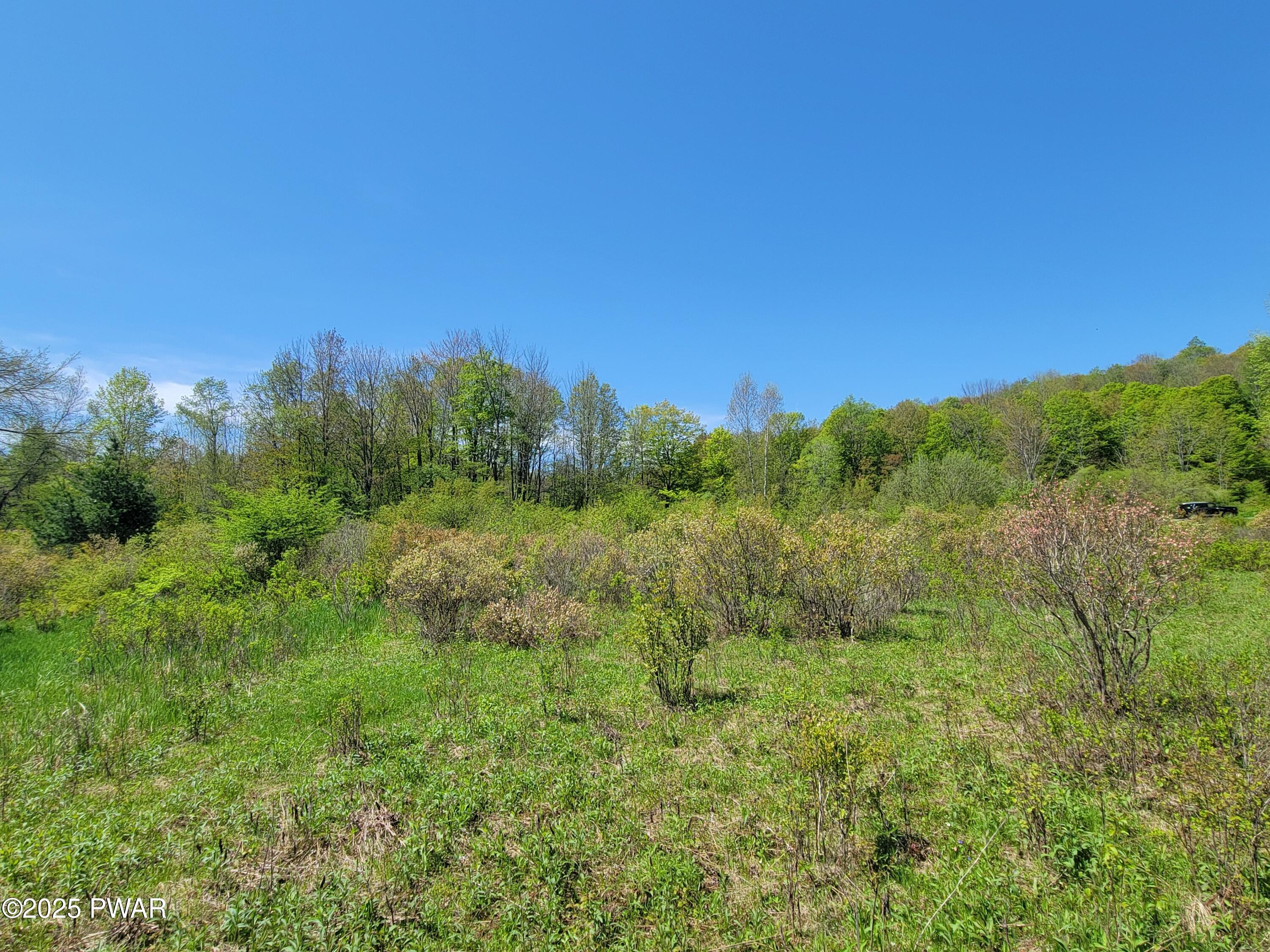 298 Maple Grove Road, Starrucca, Pennsylvania image 16