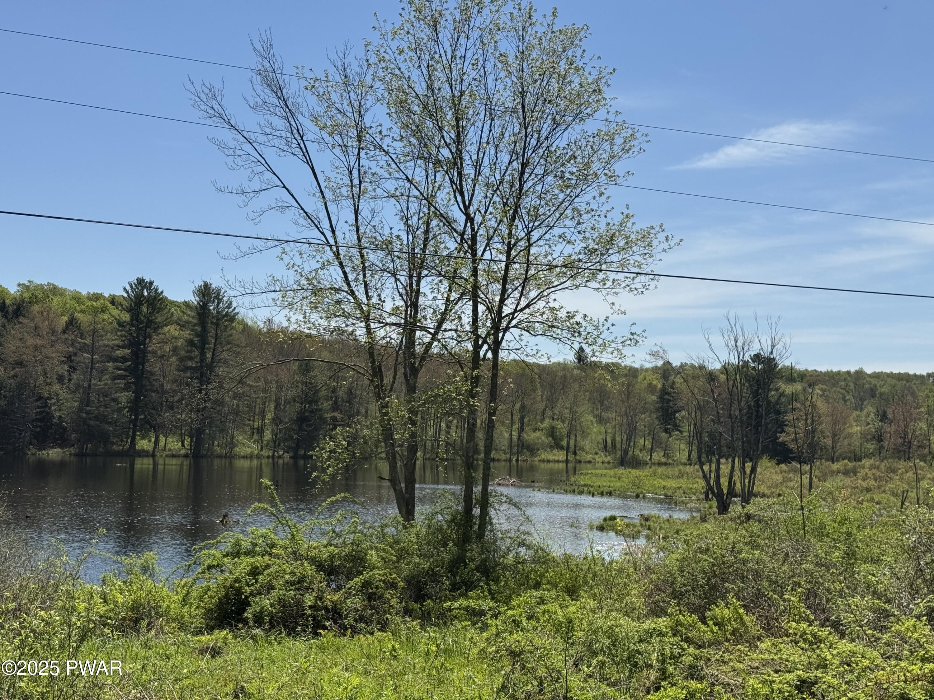 298 Maple Grove Road, Starrucca, Pennsylvania image 19