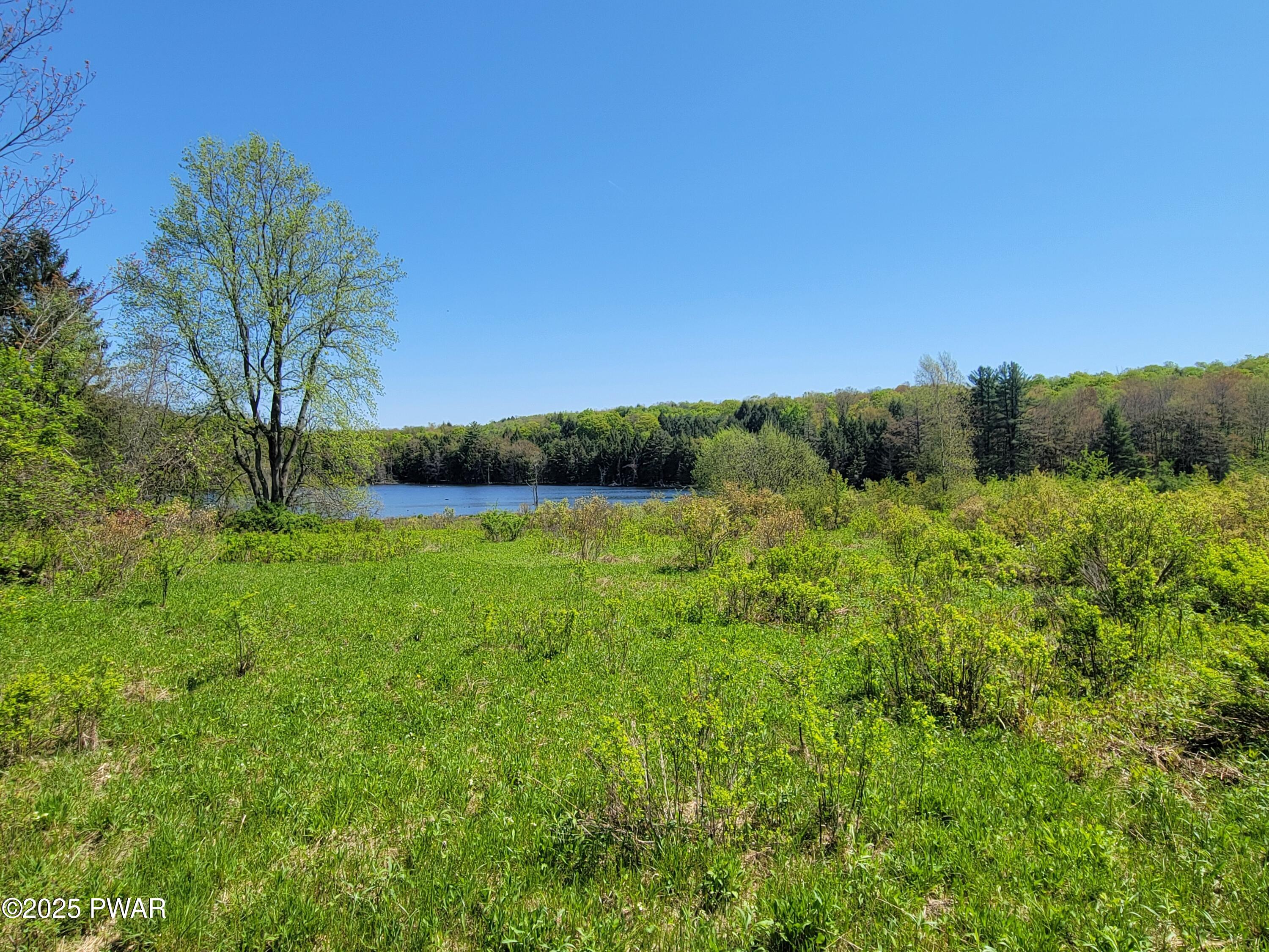 298 Maple Grove Road, Starrucca, Pennsylvania image 12
