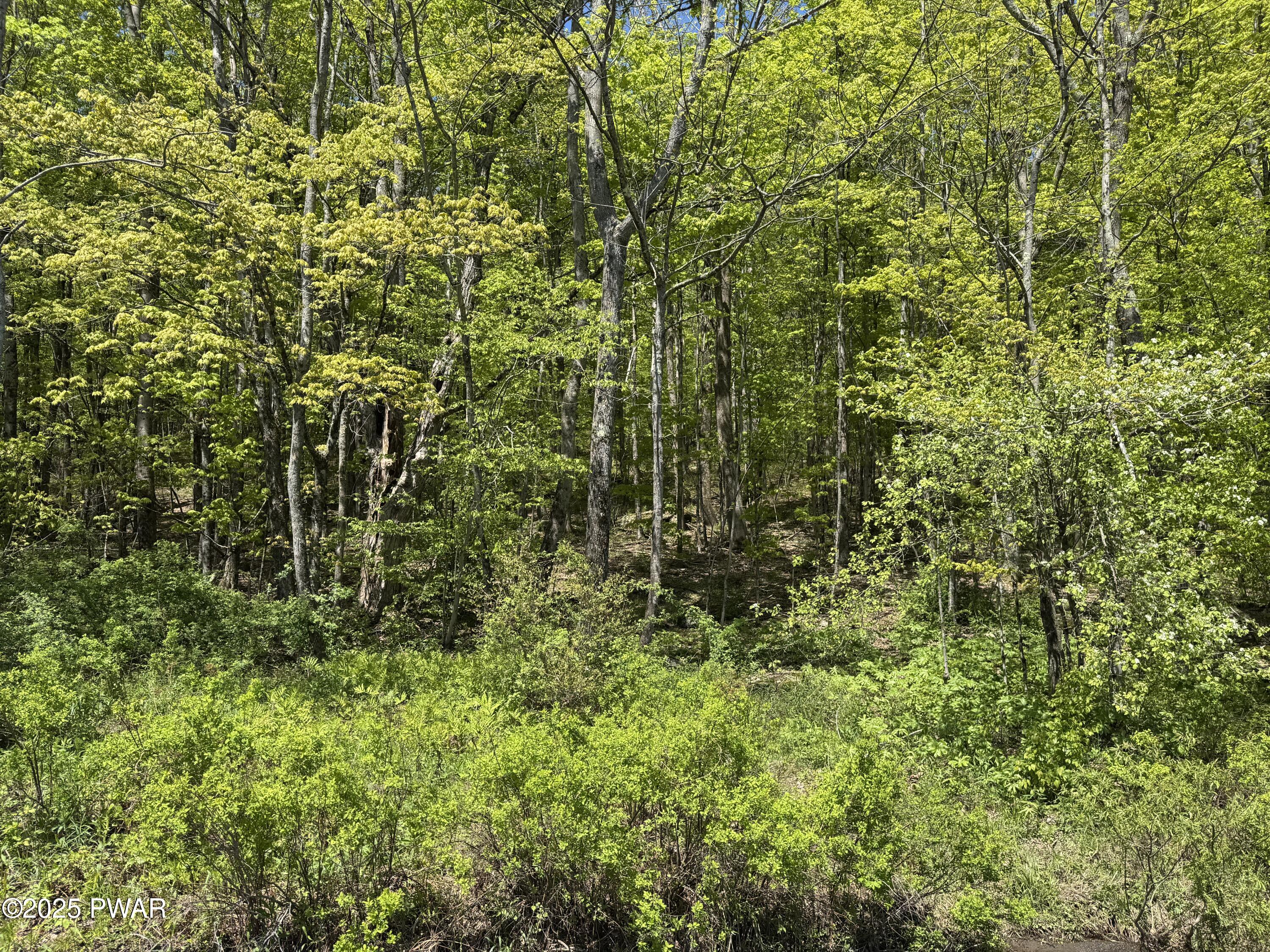 298 Maple Grove Road, Starrucca, Pennsylvania image 18