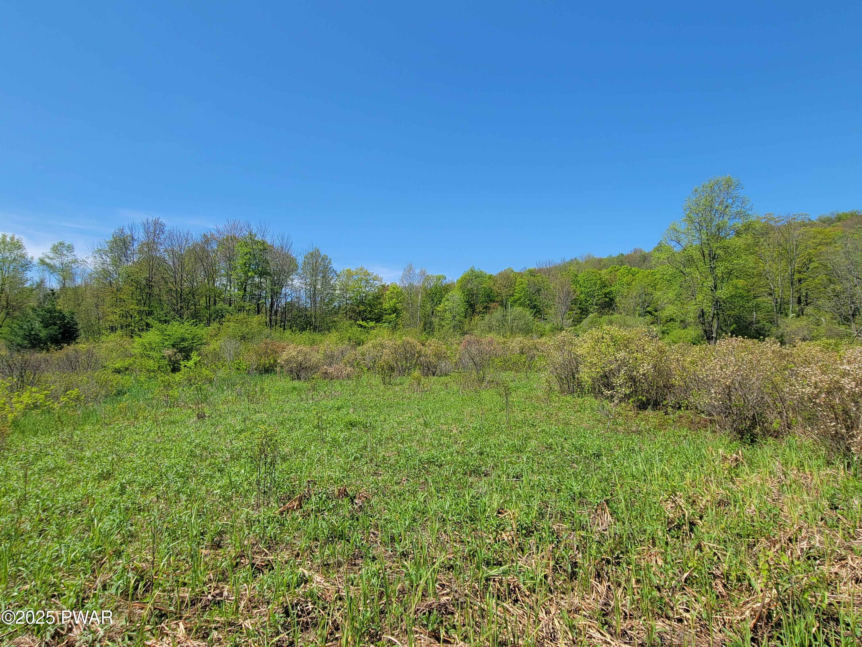 298 Maple Grove Road, Starrucca, Pennsylvania image 15