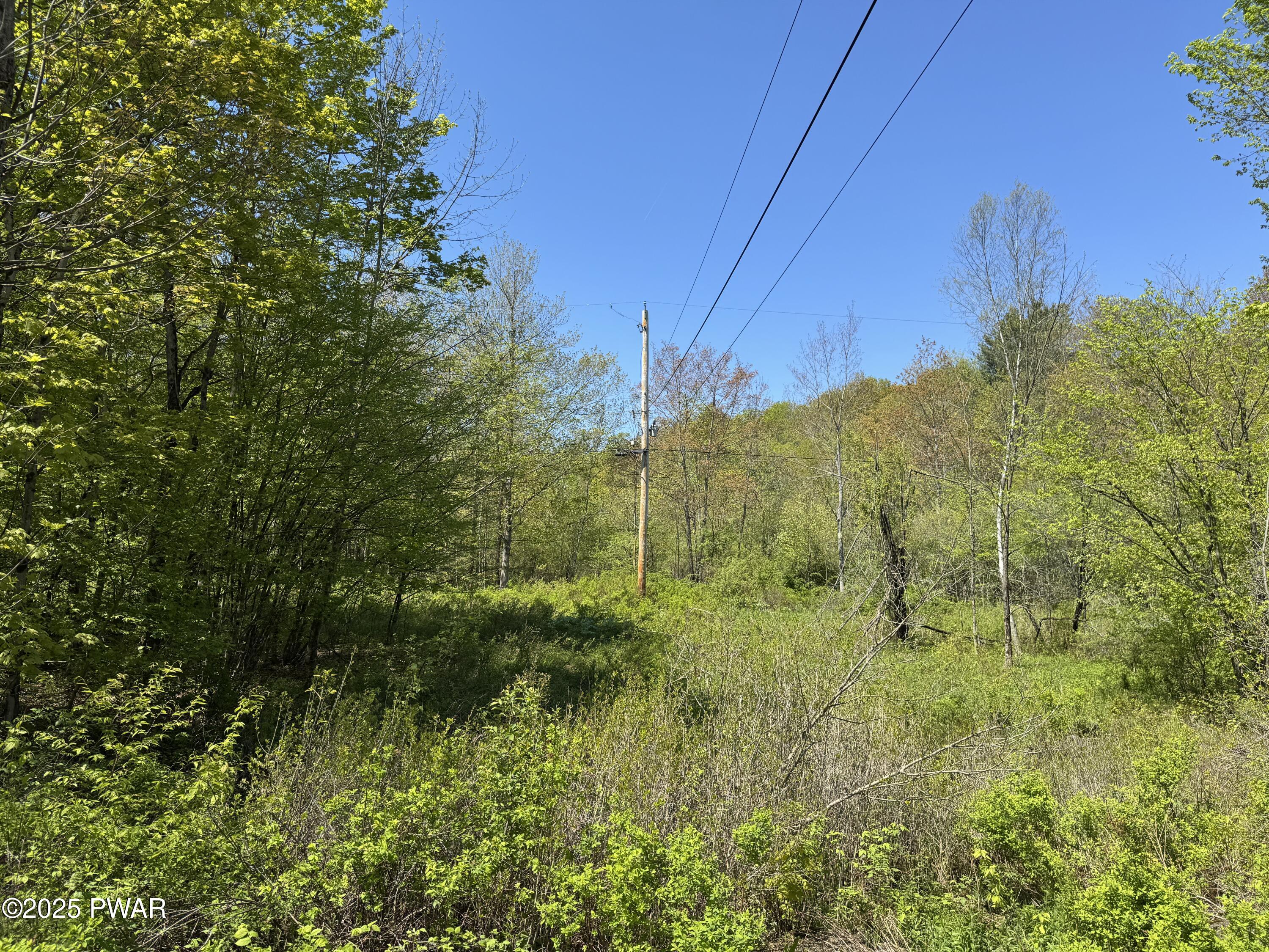 298 Maple Grove Road, Starrucca, Pennsylvania image 11