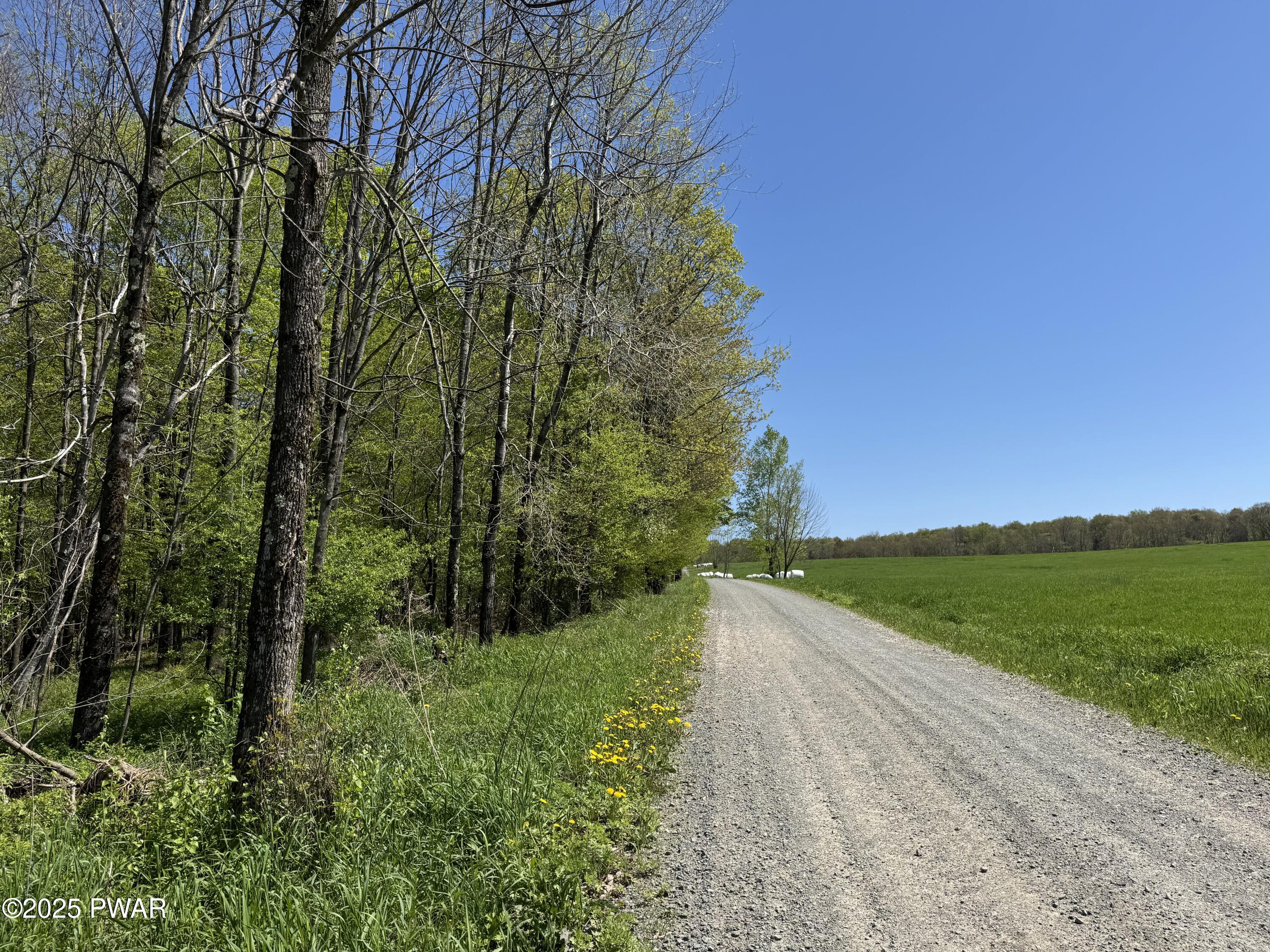 298 Maple Grove Road, Starrucca, Pennsylvania image 10