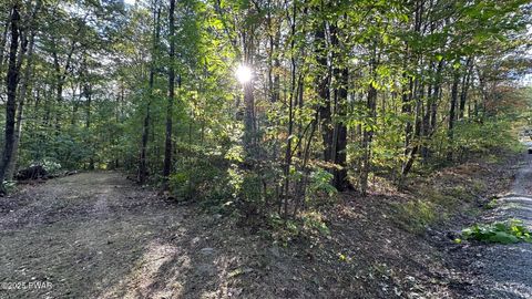 Vacant Land For Sale - 58 Salem View Drive Drive<br/> Waymart, PA 18472