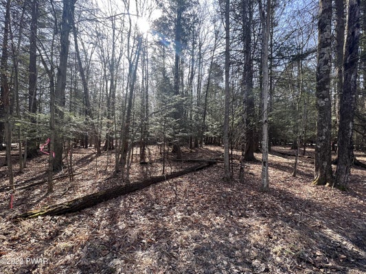 36 POLARIS WAY, LAKE ARIEL, PA 18436 - Image 0613ed82c729f385f07cc53e35bdb2f2/891870643