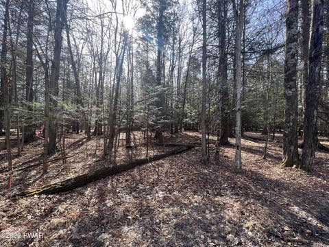 Vacant Land For Sale - 209 & 210 Polaris Way<br/> Lake Ariel, PA 18436