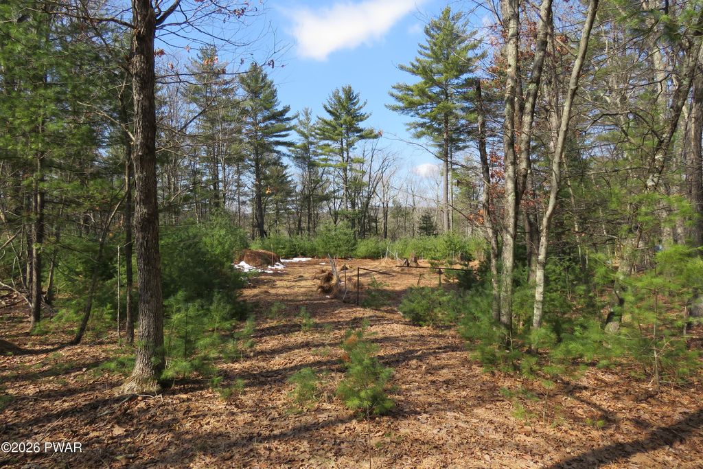 Photo of 30 Ledgecrest Road, Hawley, PA 18428 (MLS # PW260468)