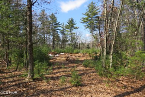 Vacant Land For Sale - LOT 30 Ledgecrest Road<br/> Pike County, Hawley, PA 18428