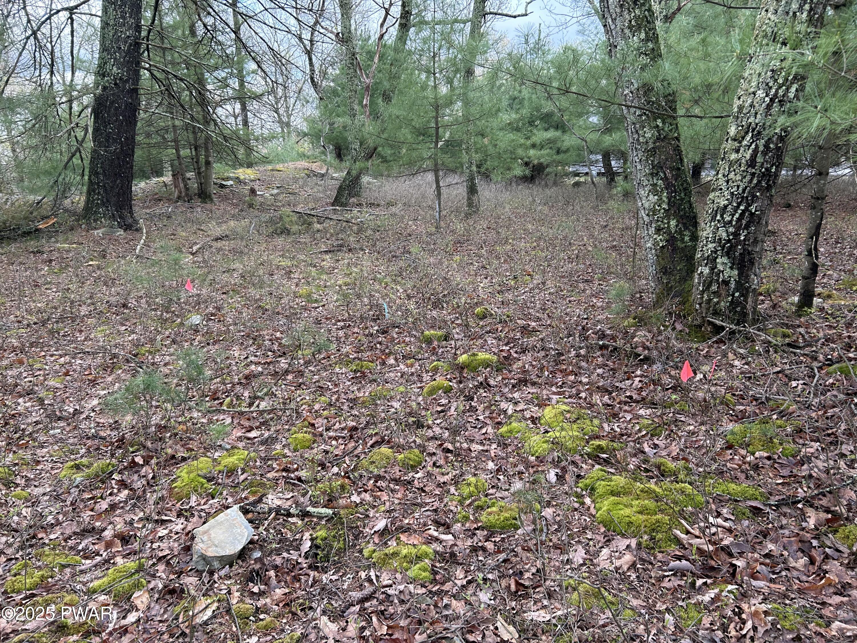 Lot 129 Pitch Pine Road, Dingmans Ferry, Pennsylvania image 8