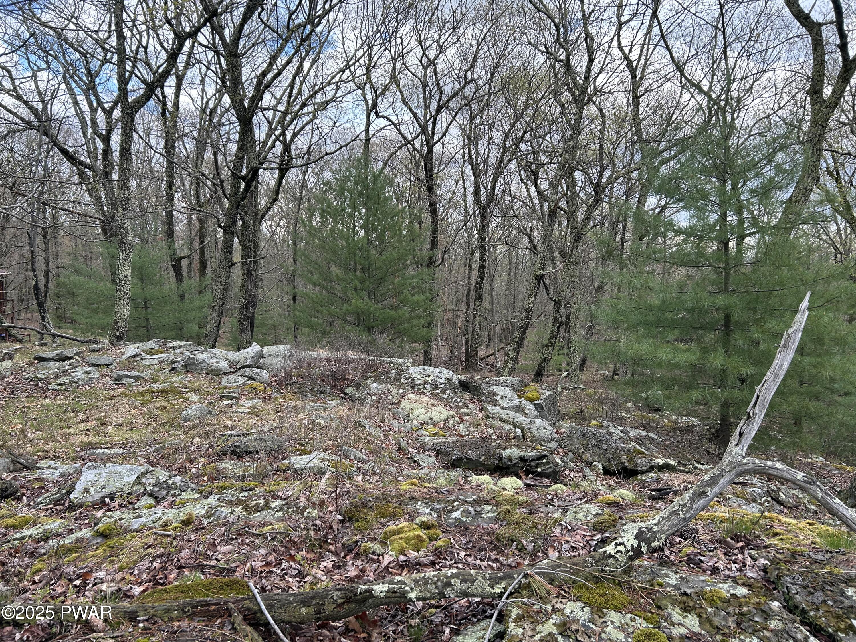 Lot 129 Pitch Pine Road, Dingmans Ferry, Pennsylvania image 5
