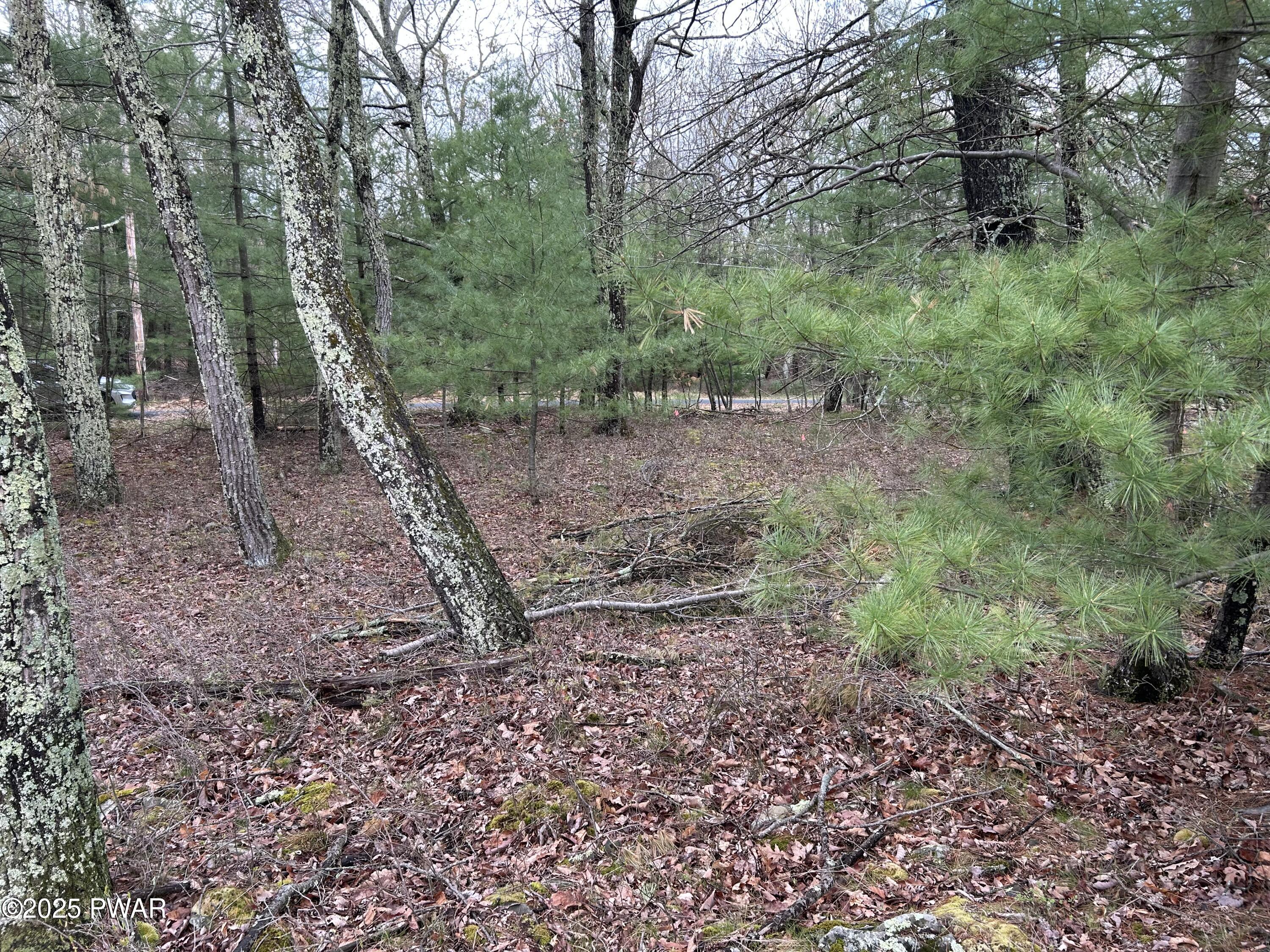 Lot 129 Pitch Pine Road, Dingmans Ferry, Pennsylvania image 4