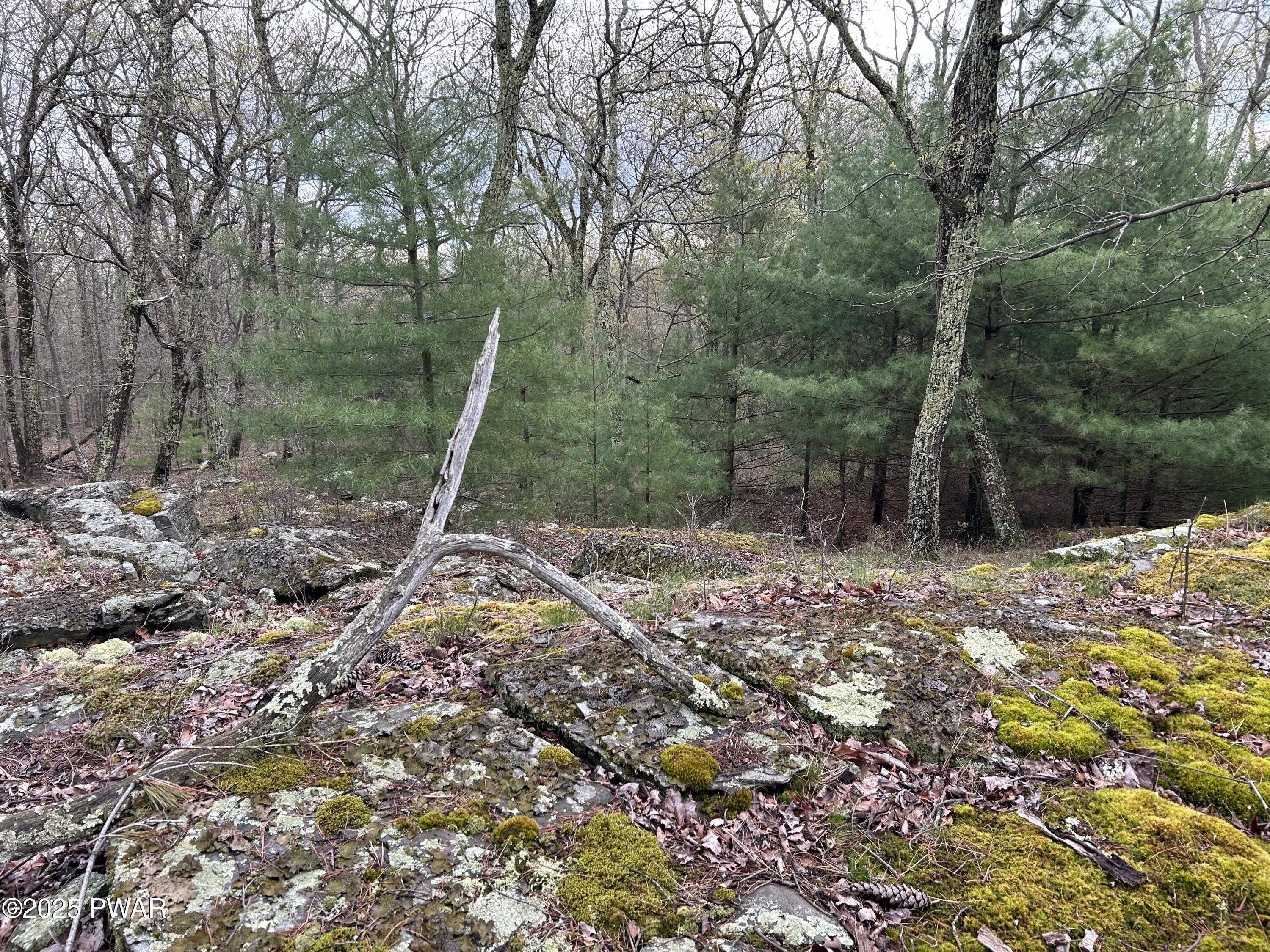 Lot 129 Pitch Pine Road, Dingmans Ferry, Pennsylvania image 6