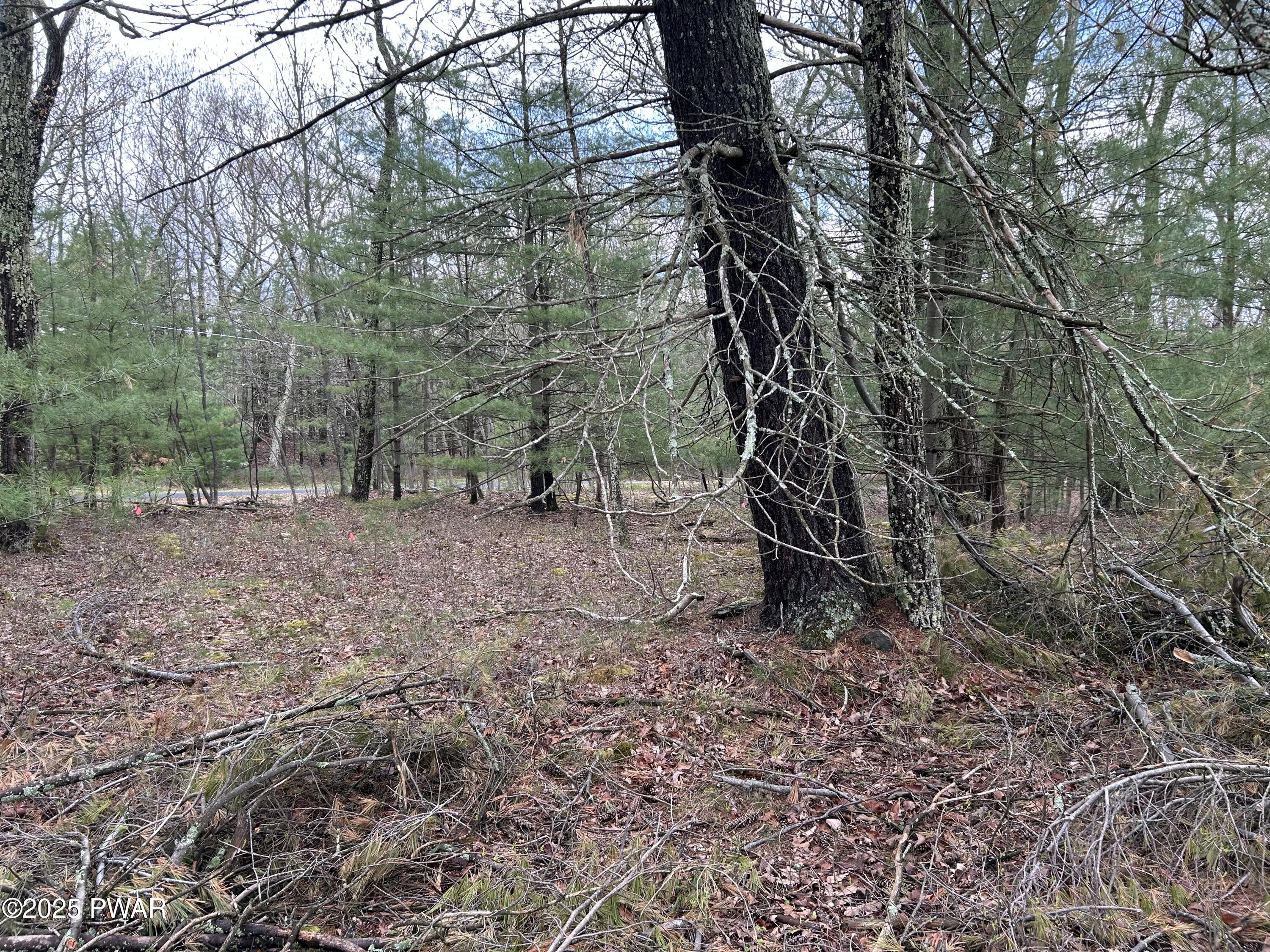 Lot 129 Pitch Pine Road, Dingmans Ferry, Pennsylvania image 3