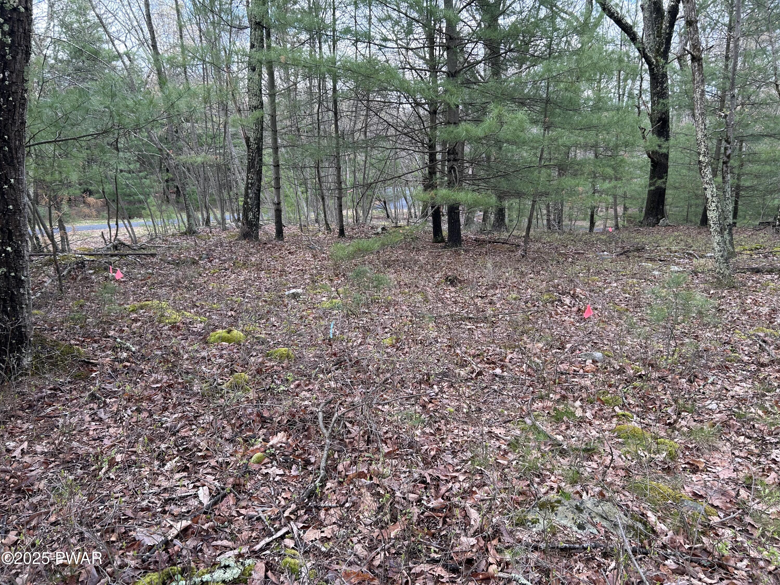Lot 129 Pitch Pine Road, Dingmans Ferry, Pennsylvania image 9