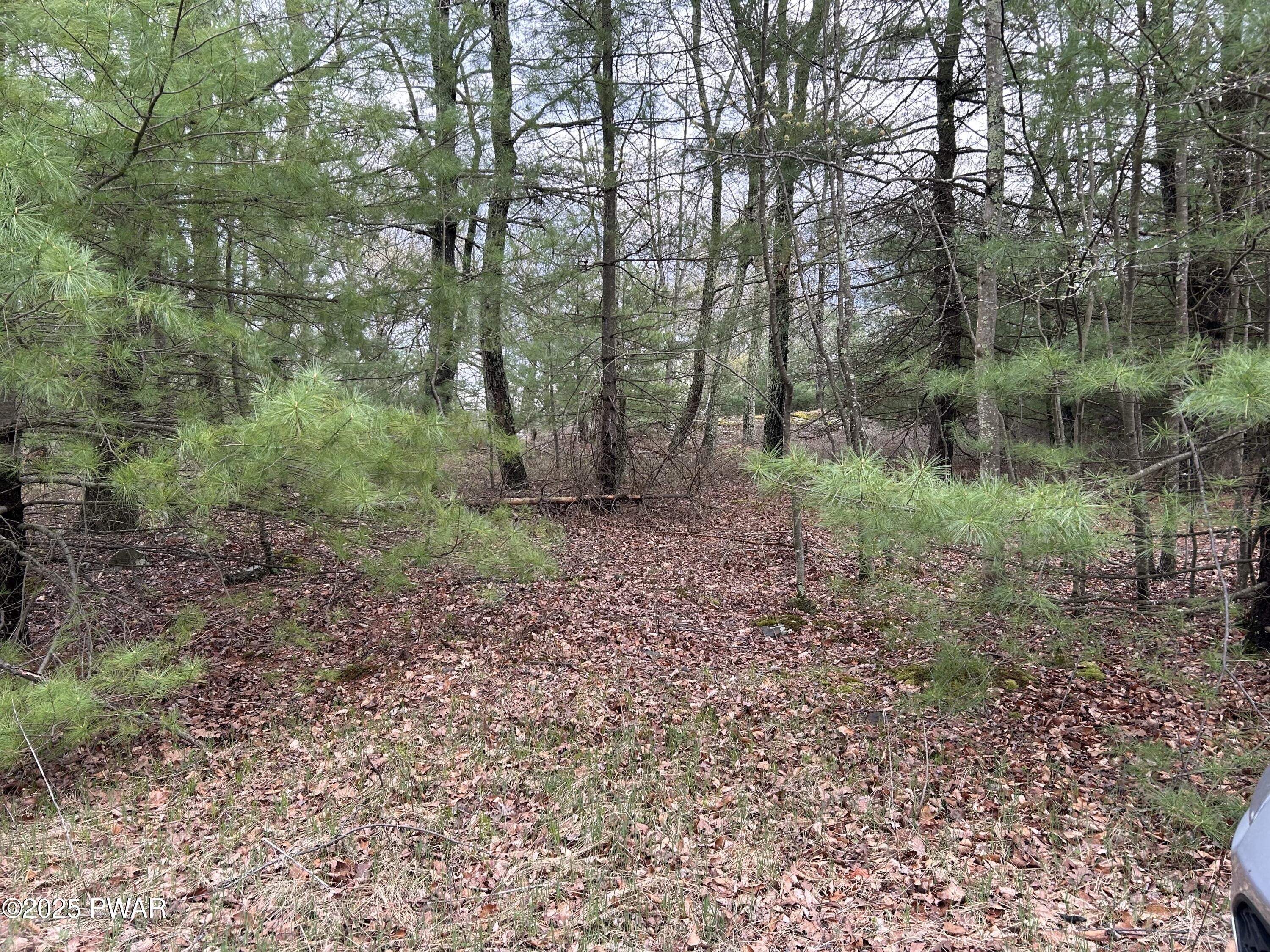 Lot 129 Pitch Pine Road, Dingmans Ferry, Pennsylvania image 10