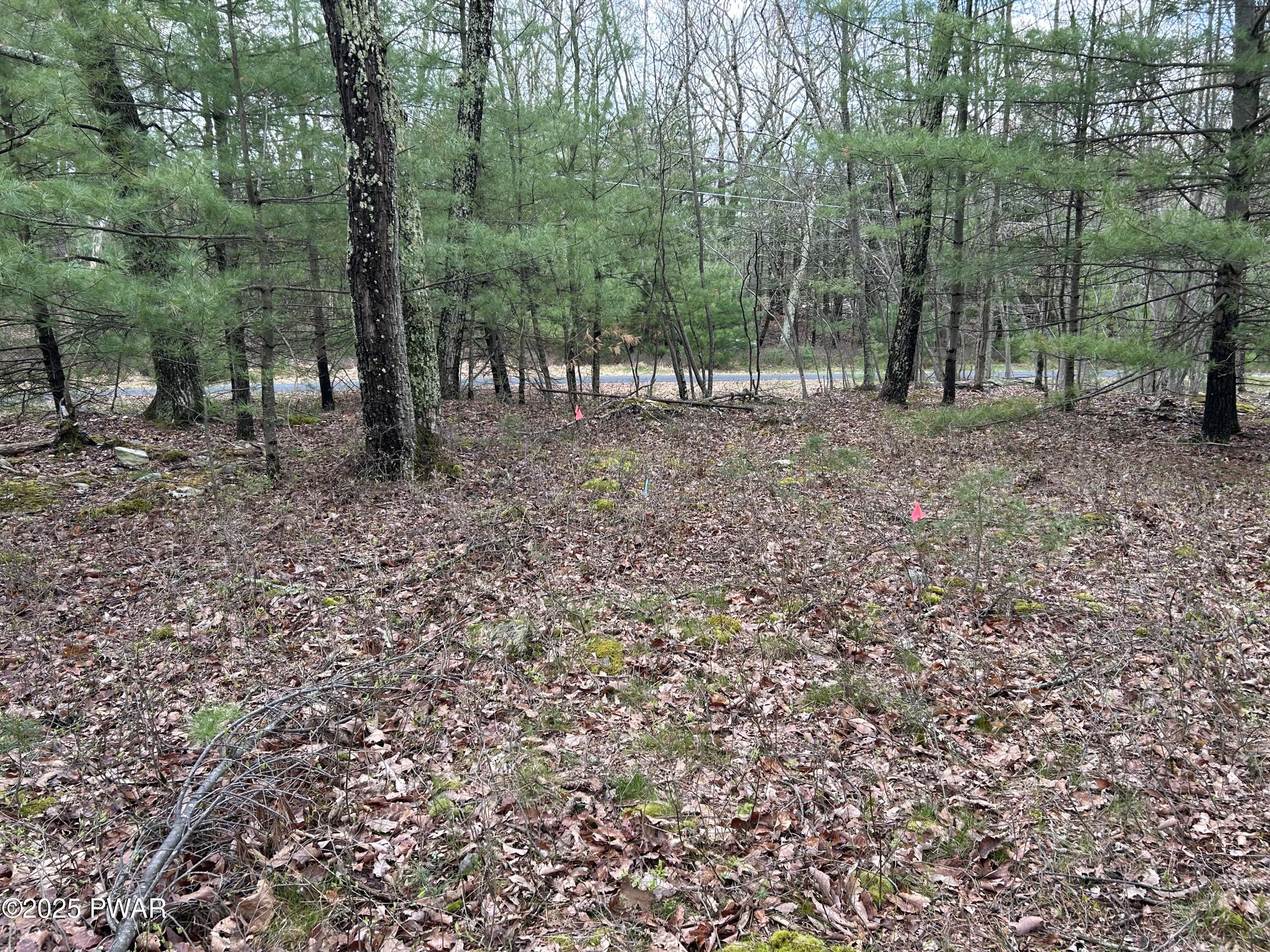 Lot 129 Pitch Pine Road, Dingmans Ferry, Pennsylvania image 7