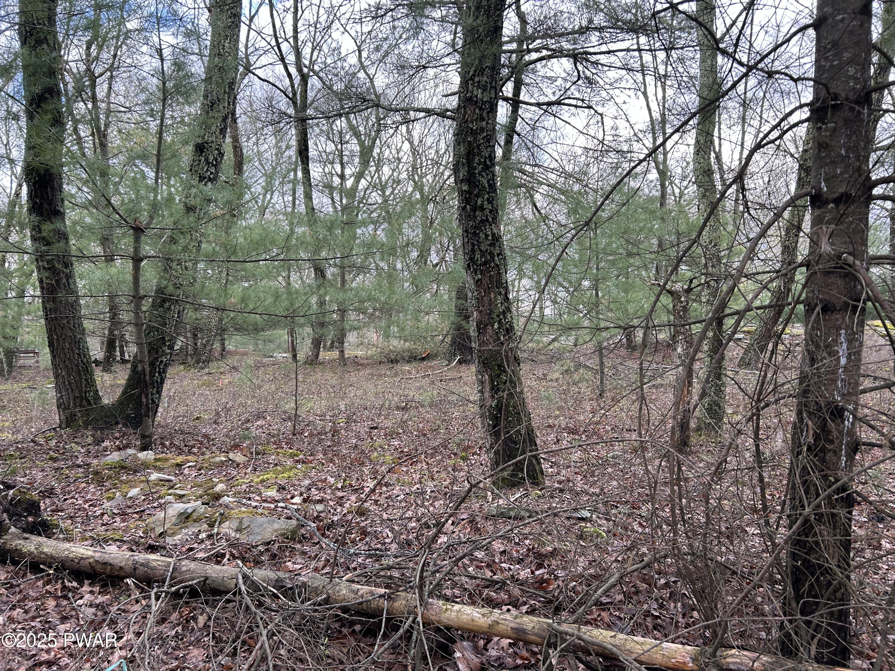 Lot 129 Pitch Pine Road, Dingmans Ferry, Pennsylvania image 2