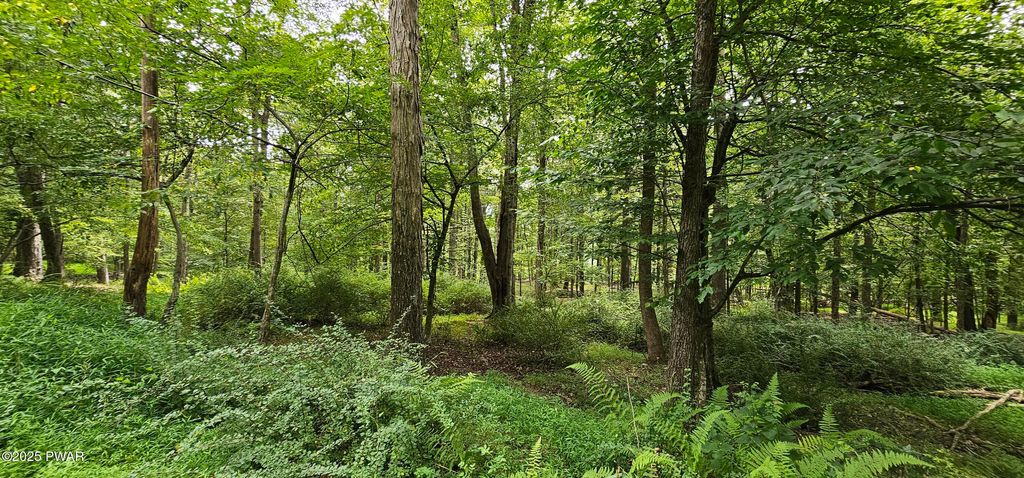 Photo of 57 Blossom Road, Lackawaxen, PA 18435 (MLS # PW252863)