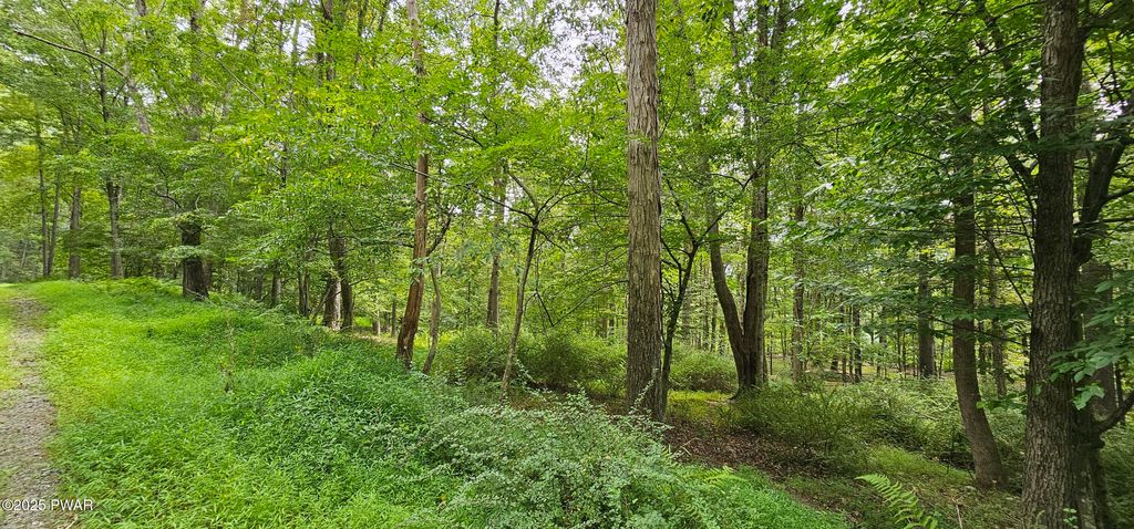 Photo of 57 Blossom Road, Lackawaxen, PA 18435 (MLS # PW252863)