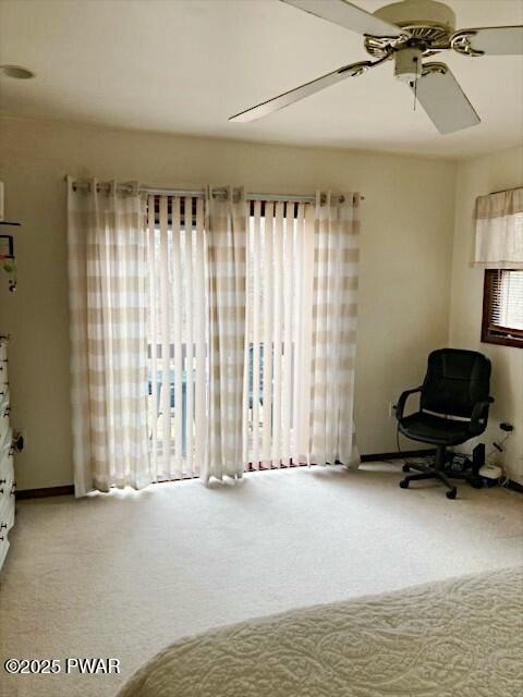 229 Lake Drive, Dingmans Ferry, Pennsylvania image 13