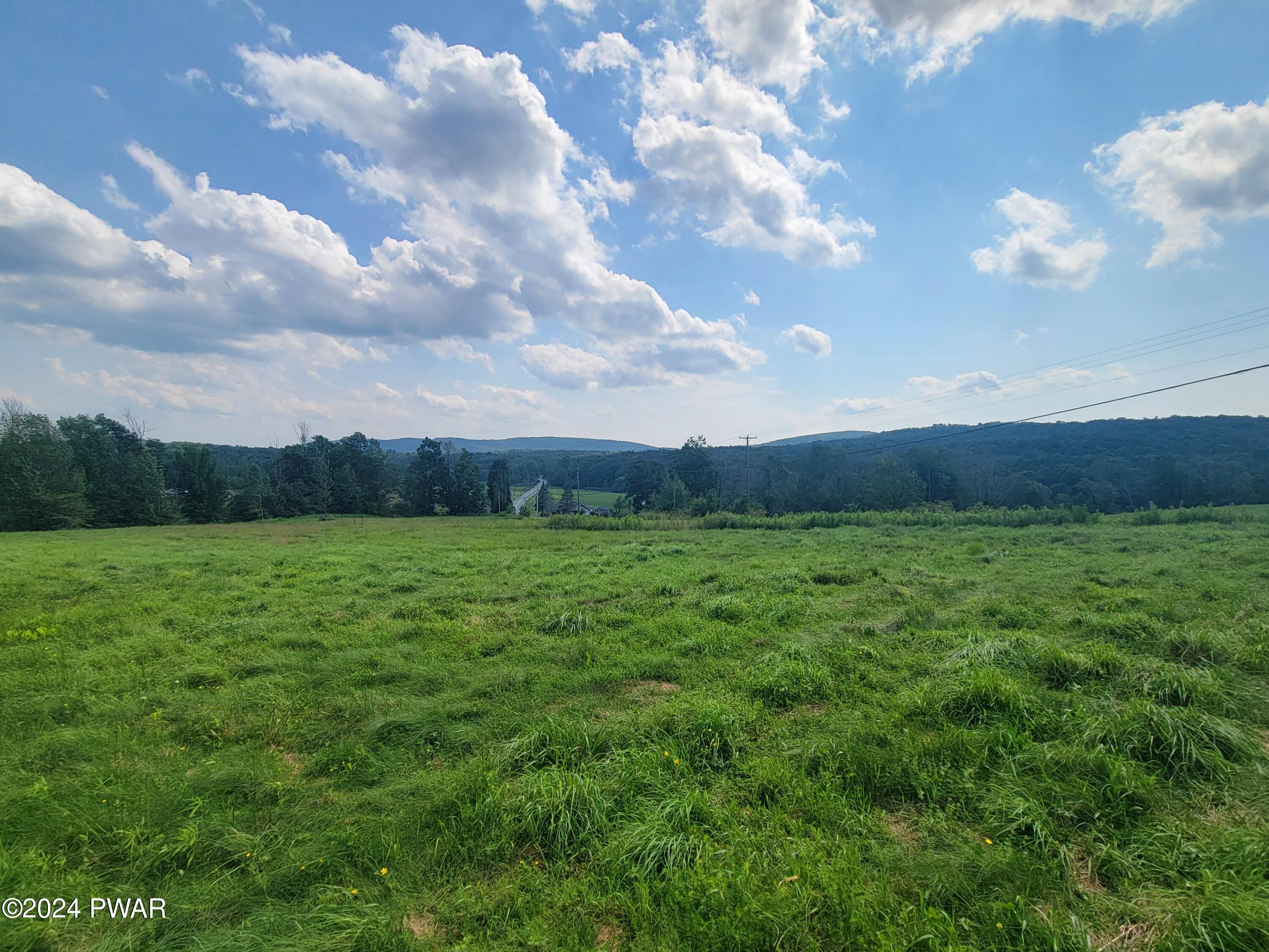 Creek Drive, Pleasant Mount, Pennsylvania image 4