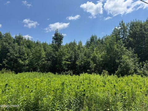 Vacant Land For Sale - Daw Road<br/> Pleasant Mount, PA 18453