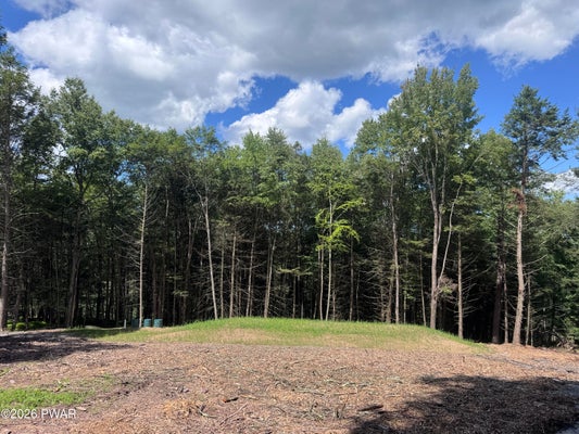 266 STEEP HILL RD, BEACH LAKE, PA 18405 - Image 0df3187f544fa8fe722bc13e5de4ba4f/3931322912