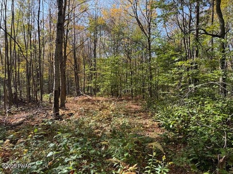 Vacant Land For Sale - Fairmont Road Road<br/> Wayne County, Starrucca, PA 18462