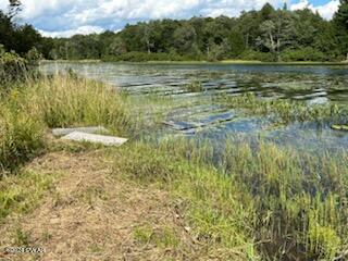 Lot D Spruce Lake Road, Thompson, Pennsylvania image 15