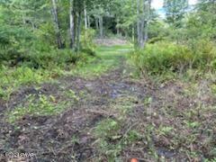 Lot D Spruce Lake Road, Thompson, Pennsylvania image 16