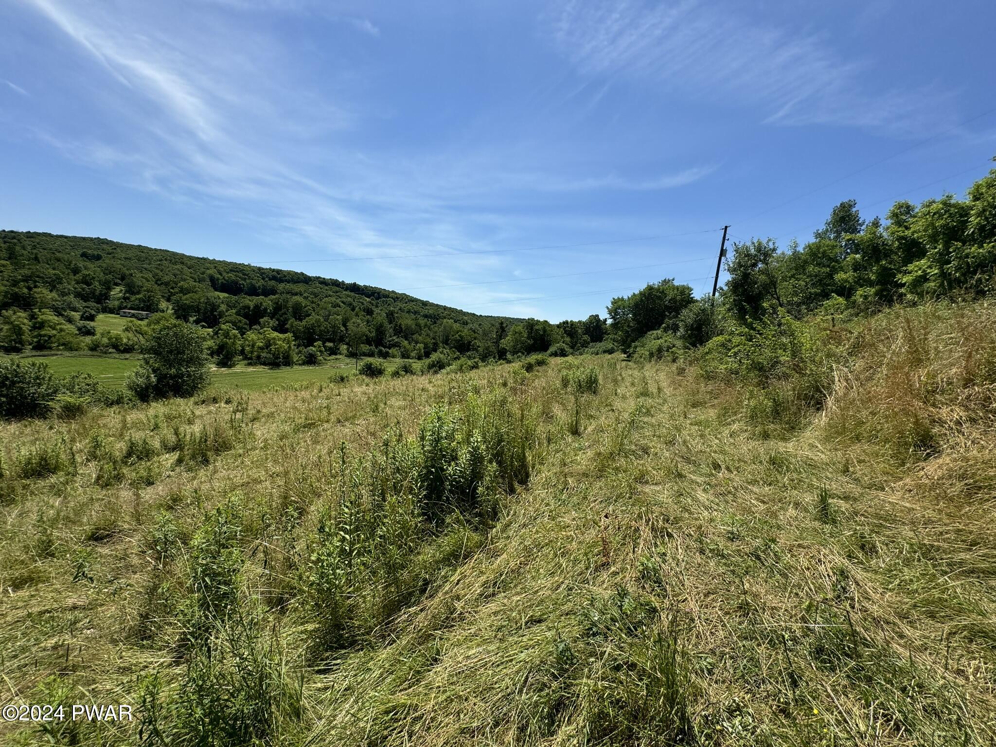 Carley Brook Road, Honesdale, Pennsylvania image 18