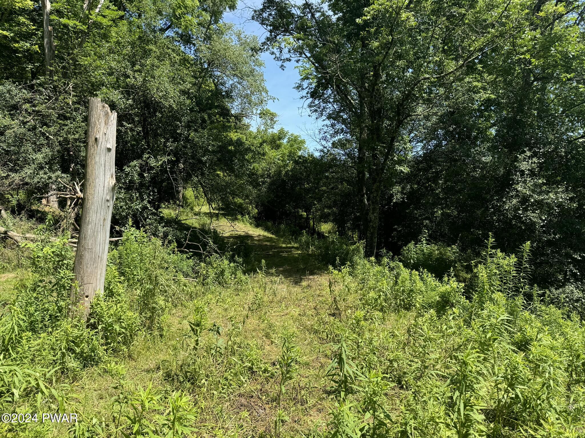 Carley Brook Road, Honesdale, Pennsylvania image 8