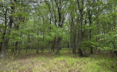 Vacant Land For Sale - 193 Red Rock Circle<br/> Pike County, Hawley, PA 18428