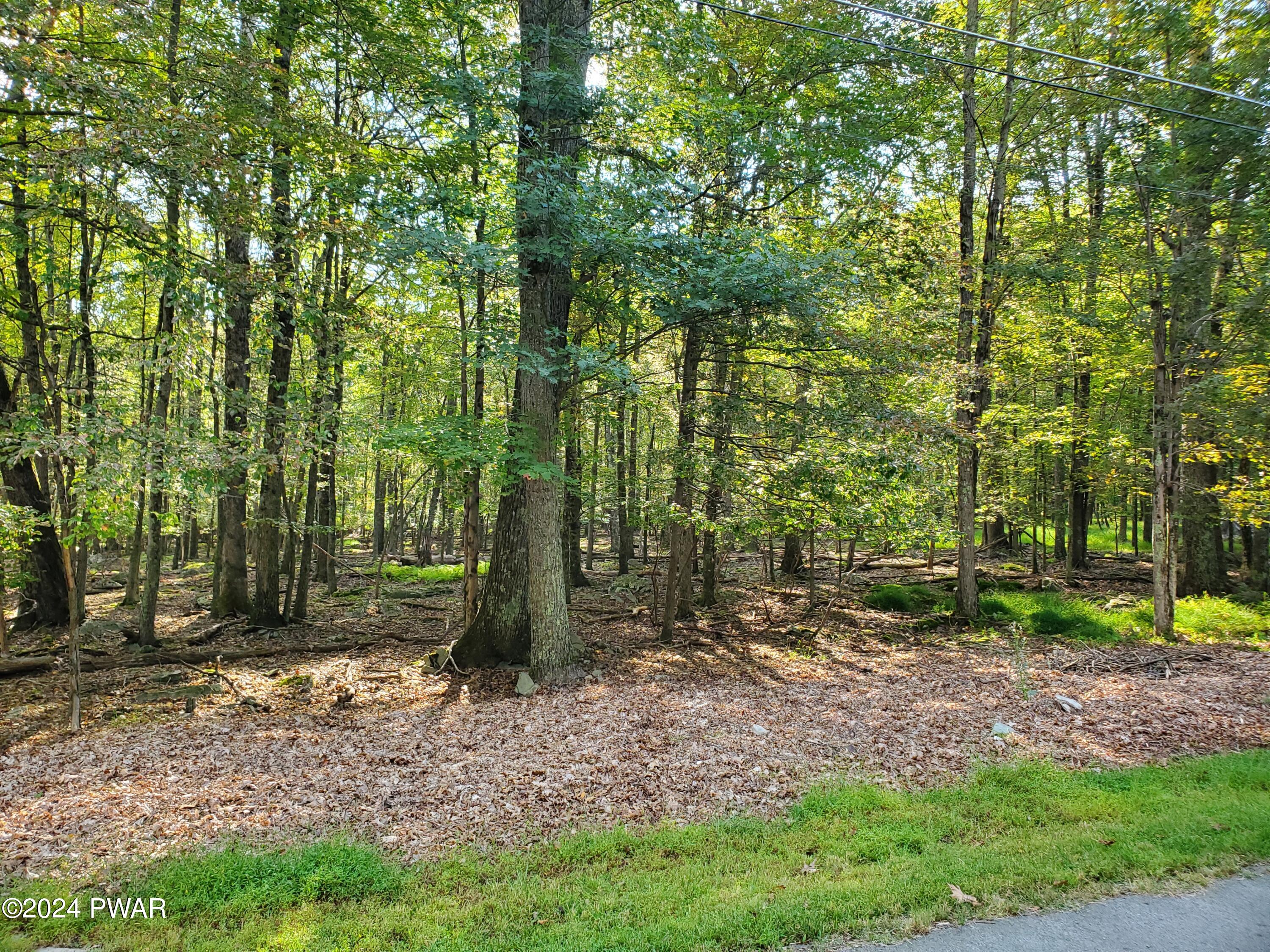 Lot 200 Cottonwood Drive, Hawley, Pennsylvania image 2