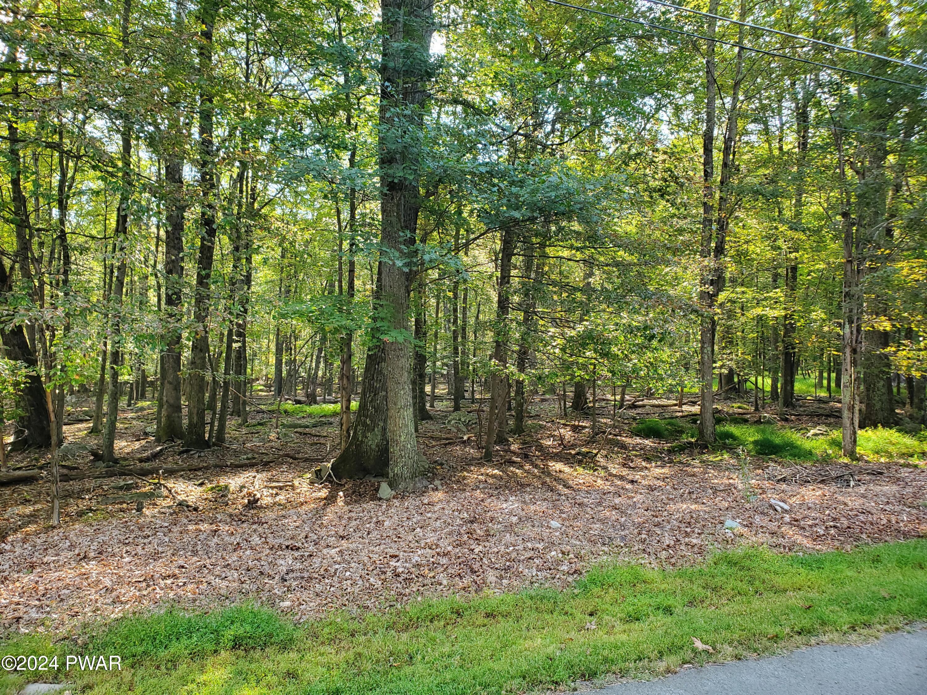 Lot 200 Cottonwood Drive, Hawley, Pennsylvania image 1