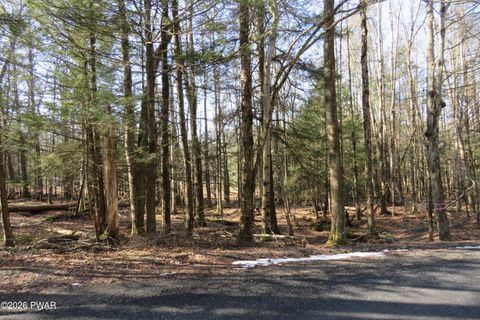 Vacant Land For Sale - LOTS 20-22 Orion Way<br/> Wayne County, Lake Ariel, PA 18436