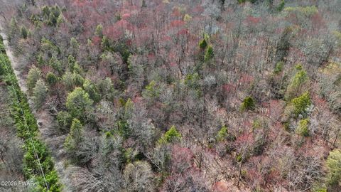 Vacant Land For Sale - 39 AND 40 Rocky Swamp Rd 39<br/> Pocono Lake, PA 18347