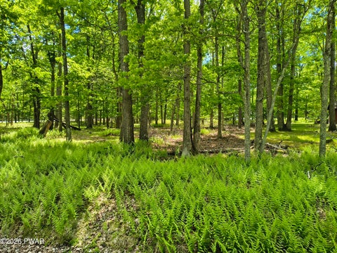Vacant Land For Sale - 329 Oak Hill Road<br/> Hawley, PA 18428