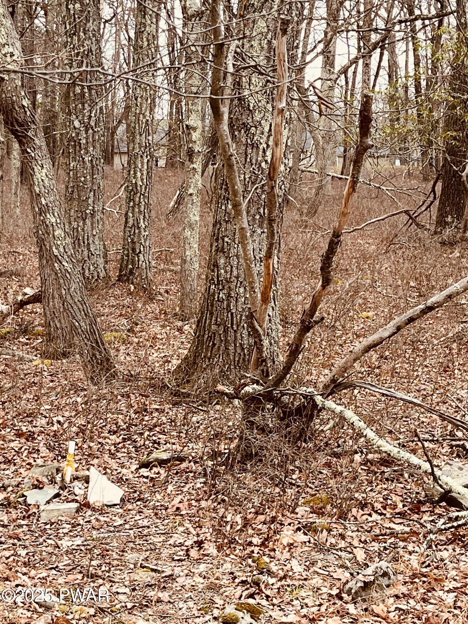 Lot 574 Robin Lane, Dingmans Ferry, Pennsylvania image 6