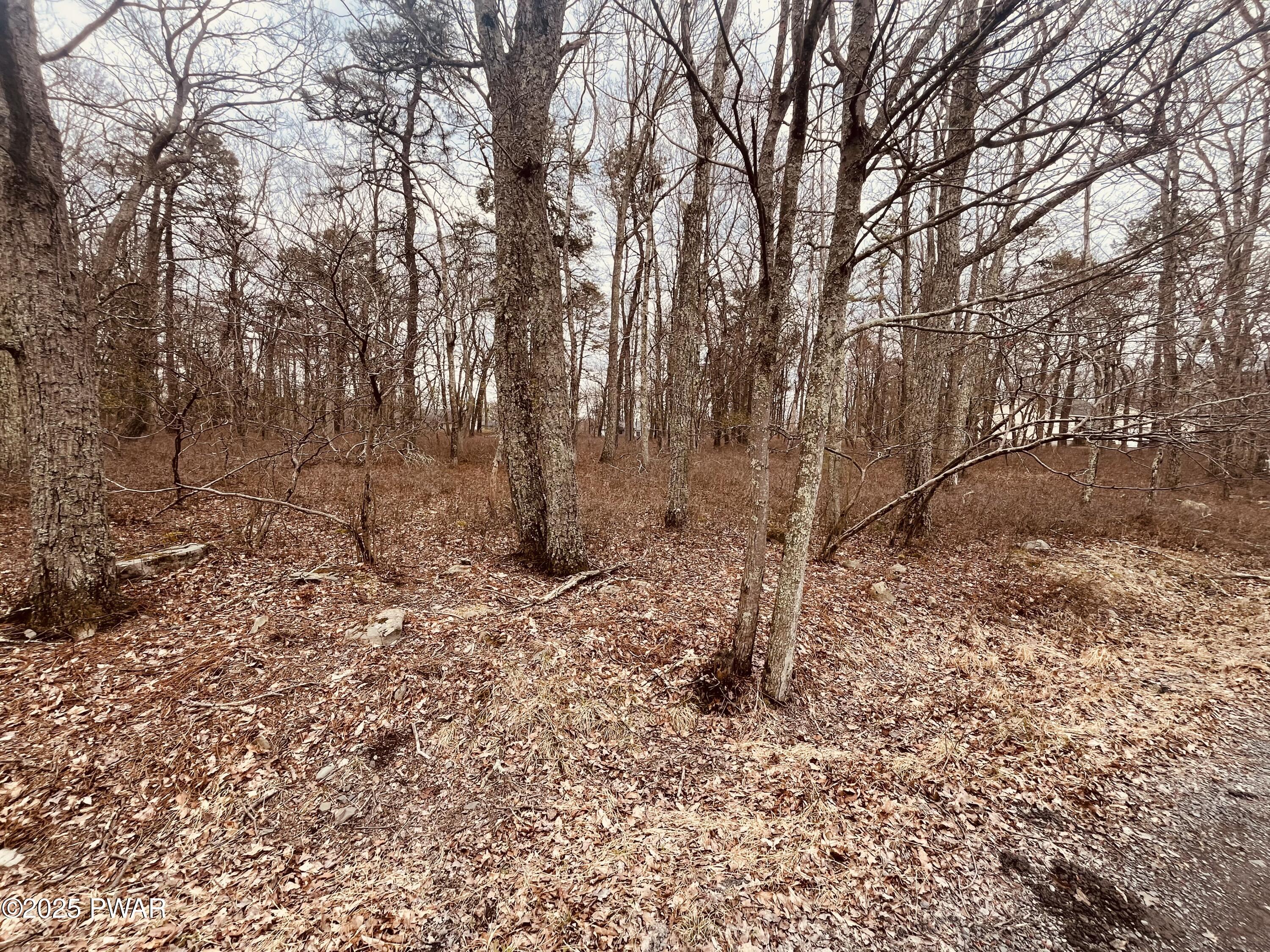 Lot 574 Robin Lane, Dingmans Ferry, Pennsylvania image 2