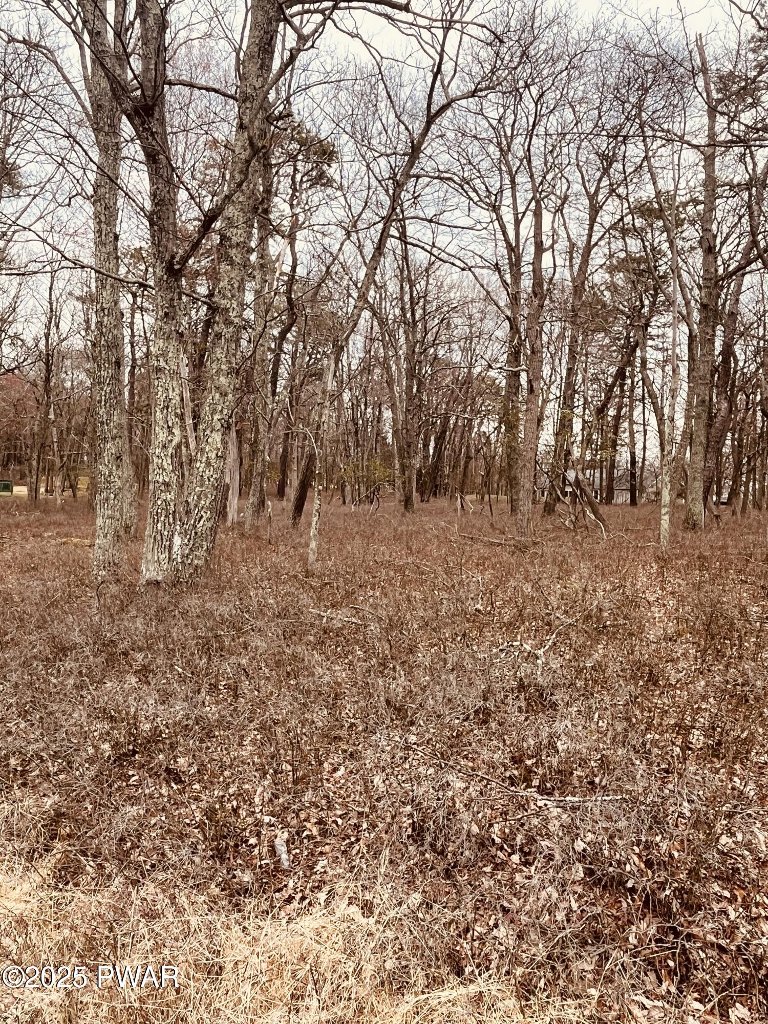 Lot 574 Robin Lane, Dingmans Ferry, Pennsylvania image 5