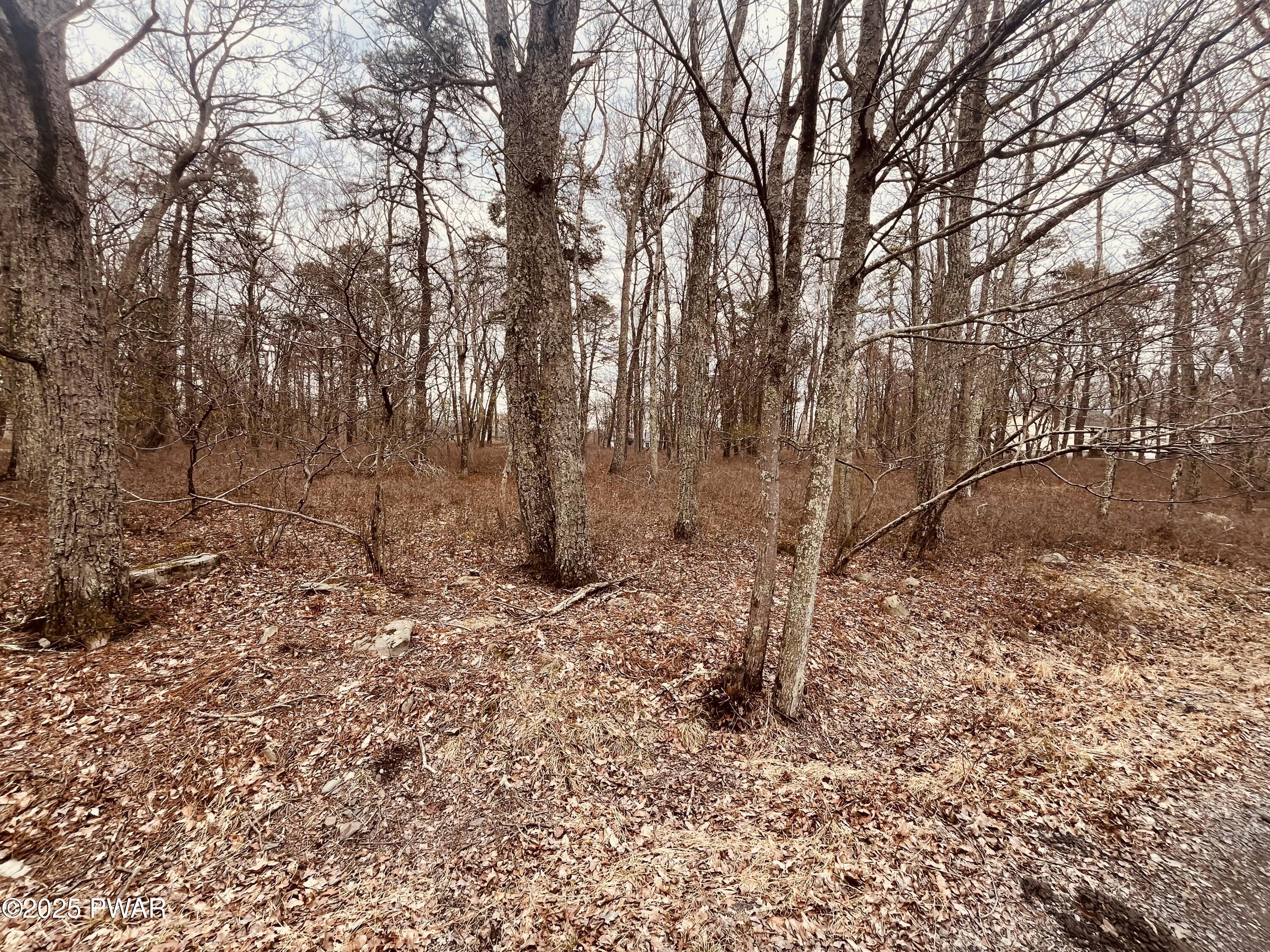 Lot 574 Robin Lane, Dingmans Ferry, Pennsylvania image 3